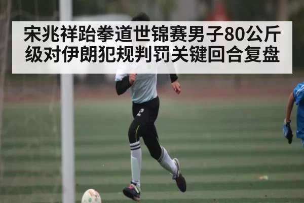 宋兆祥跆拳道世锦赛男子80公斤级对伊朗犯规判罚关键回合复盘